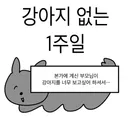 강아지 없는 일주일.jpg