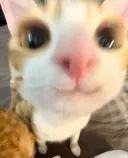 루리웹 리그오브레전드 게시판에 오신걸 환영합니다