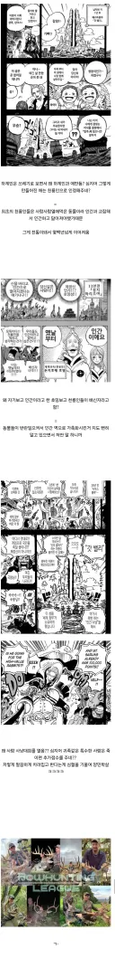 원피스 천룡인 동물설로 풀리는 떡밥들