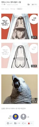 원피스)앵무새론으로 오히려 바스단이 부활했단 게 웃김ㅋㅋ