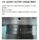 당근마켓 사회실험 결과