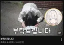 버튜버) 회사 소속 버튜버 데뷔한다며 엎드려 부탁하는 버튜버