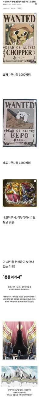 원피스) 이 새끼들만 유독 현상금이 낮았던 이유