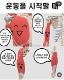 안녕 나는 종아리의 요정이야
