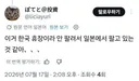 일본 개미들 오늘 상황