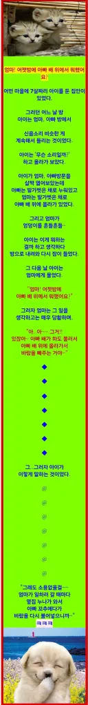 🤔엄마! 어젯밤 아빠 배 위에서 뭐했어요?🤔