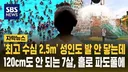 '최고 2.5m 수심' 성인도 발 안 닿는데…120cm도 안 되는 7살, 홀로 파도풀 방치됐다