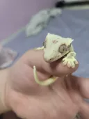 반려동물 자랑 타임 한번 가지겠습니다.