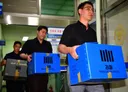 한다리 건너면 형님·동생… 장윤기 증거인멸 뒤엔 '향찰'