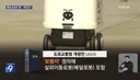 의외로 도로교통법상 보행자 인것