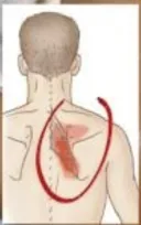 어깨 마사지 이부위 잘 조지는데 없나?