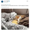 냉방 너무 세게 튼거 아닌가?.jpg