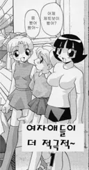 일본판 파워 퍼프걸 특