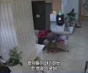 병원에서 검거된 할머니 도둑질 수준.jpg