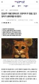 캣맘금지법) 여성경제신문의 따끈따끈(?)한 새덕후 지지 기사