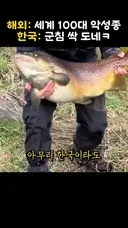 해외: 세계 100대 악성종 한국: 군침 싹 도네ㅋ