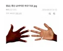 흑인 손바닥만 하얀 이유