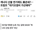 트럼프 캐나다 산불로 입은 미국 피해 보상, 관세 추가로 받겠다