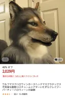 테무산 퍼리슈트 최신 근황