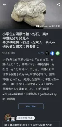 日) 초6 여학생이 도쿄대와 와세다대 논문 공저자 등재