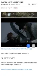 P의 거짓 스위치2에서 60프레임 가능