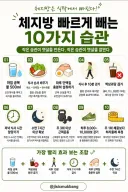 체지방 빠르게 빼는 10가지 습관