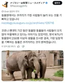 동물원에서 사람이 오면 제일 기뻐하는 동물.jpg