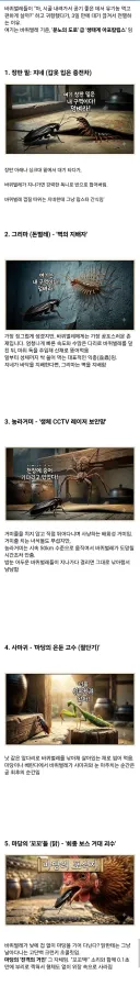 시골집에서 바퀴벌레 보기 힘든 이유.