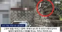 대한민국에서 있었던 역대급 캣맘 사건