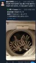 장갑 세탁하고 뚜껑 열었다가 놀란 사람