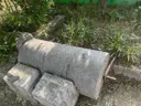 의외로 잘 알려진 대구 달성공원 명물(?)
