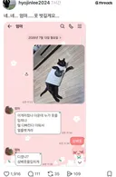 고양이 옷 입혔다가 엄마한테 혼남