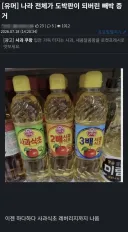 나라 전체가 아주 도박판이 되어버렸다는 증거.jpg