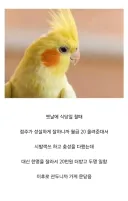 원피스) 새삼 이무가 고지능이라고 느껴진순간