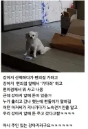 편의점 앞에 있던 강아지에게 돈을 준 이유.