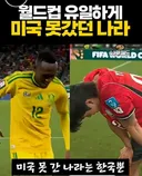 월드컵 한국이 세운 또 다른 기록 (펌)