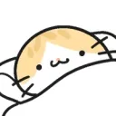 로아) 업적깨러 싱글카제 가면
