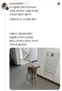 시골 아파트에서 흔한 풍경.jpg