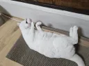 우리집 고양이 좀 봐주셈