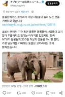 의외로 사람 보는 걸 좋아하는 동물