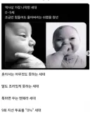쉬X음 세대