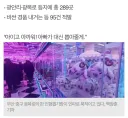 부산사람들이 최근 가장많이 느끼는거