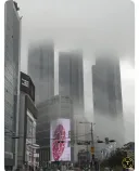 누가봐도 디지몬 나올거같은 분위기