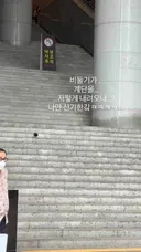 날개가 점점 장식이 되어 가는 동물