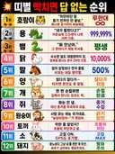 띠별 빡치면 답없는 순위
