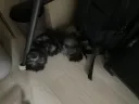 아주 지 집이여 그냥