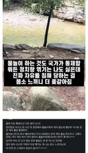 물놀이 할 자유를 국가에게 강탈 당했다