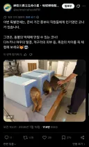왠지 야시시한 일본의 박제 촉감 체험 코너.twit