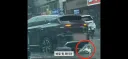 화제를 부른 6000만원 BYD 전기차
