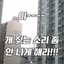 야~~~개 짖는 소리 좀 안 나게 해라